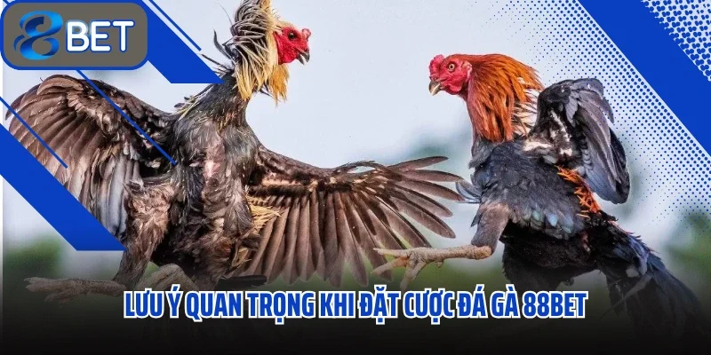 Đá Gà 88BET Trải Nghiệm Giải Trí Cực Đỉnh Với Những Cuộc Đấu Rực Lửa 3 Lưu ý quan trọng khi đặt cược đá gà 88BET