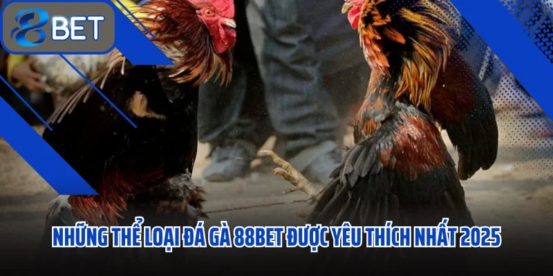 Đá Gà 88BET Trải Nghiệm Giải Trí Cực Đỉnh Với Những Cuộc Đấu Rực Lửa 2 Những thể loại đá gà 88BET được yêu thích nhất 2025